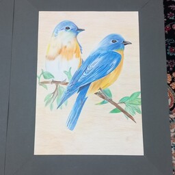 نقاشی پرنده مداد رنگی  (کاغذ فابریانو)ابعاد 38 در 30 