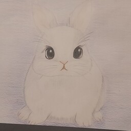 نقاشی مداد رنگی خرگوش طرح کیوت و بامزه 