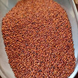 دانه کینوا قرمز (خاویار گیاهی )محصول کشور پرو 10 کیلویی فروش عمده