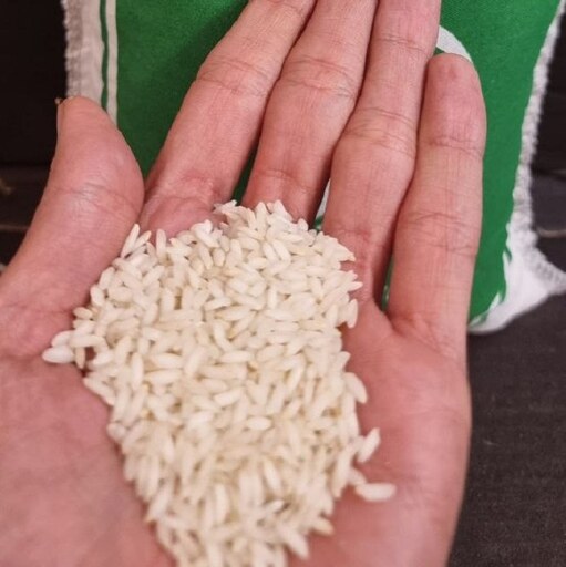 برنج ایرانی عنبربو ممتاز  مادر 50کیلویی سورت و بوجار شده فروش عمده 