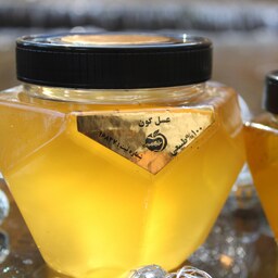 عسل طبیعی گون سایز بزرگ همراه با تضمین کیفیت و گارانتی مرجوعی 