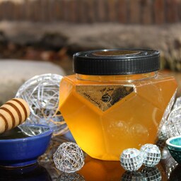 عسل طبیعی گون سایز کوچک همراه با تضمین کیفیت و گارانتی مرجوعی