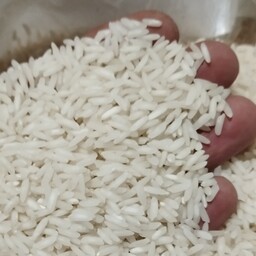 برنج امرالهی کشت دوم ارسال (رایگان)