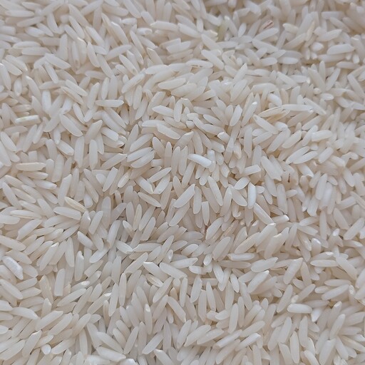 برنج هاشمی آستانه اشرفیه سورت شده دوبار الک