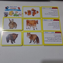 فلش کارت های  32 عددی آموزش حیوانات