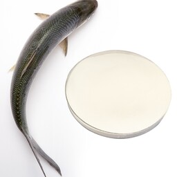پودر و مایع  کلاژن هیدرولیز  ماهی بهبود ضد چروک و آبرسان بصورت عمده حزئی استعلام قیمت پیام دهید 