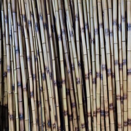 دکور چوب بامبو طلایی  مشکی قطر 2 تا 2.5 سانت (بسته 5 عددی) 5ستاره  نی بامبو خیزران