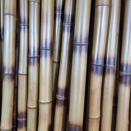 چوب بامبو طلایی مشکی قطر 4 نی بامبو بسته 3تایی