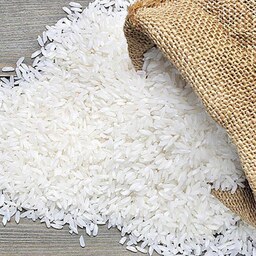 برنج کشت امسال درود استان لرستان