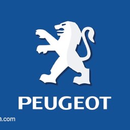 آرم PEUGEOT روی درب اتاق بار پژو 206 