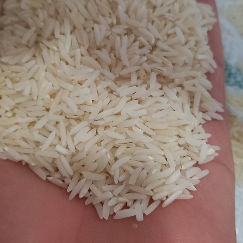 برنج هاشمی یکدست خوش رنگ معطر ارسال رایگان تضمین کیفیت