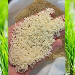 برنج  هاشمی درجه یک  گیلان امساله یکبار  الک و پاک شده (سورتینگ) و خالص و  یکدست در بسته  های 5 کیلویی برنج تاملی