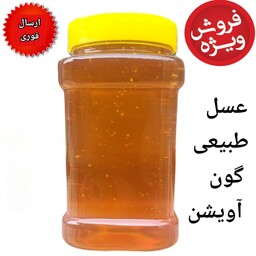 عسل طبیعی گون و آویشن آزادی یک کیلویی( شهد)