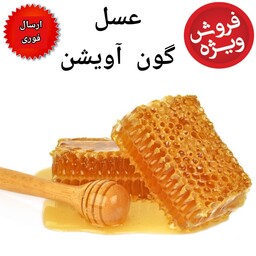 عسل طبیعی گون و آویشن آزادی یک کیلویی( مومدار)