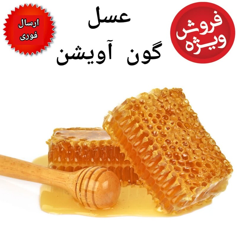 عسل طبیعی گون و آویشن آزادی (مومدار دو کیلویی)