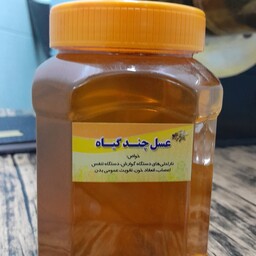 عسل طبیعی 