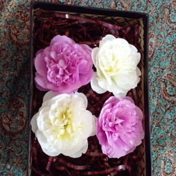 گل مصنوعی سوسن ، با کیفیت و با نازلترین قیمت و در رنگ های مختلف و با قیمت کف کارخونه