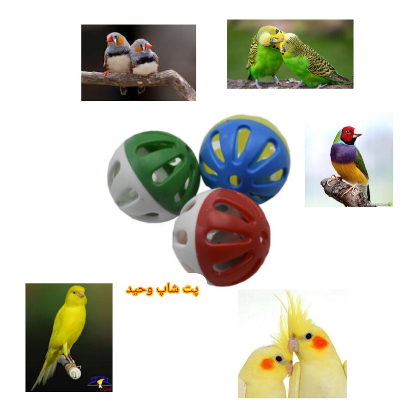 اسباب بازی پرندگان مدل توپ زنگوله دارسایزبزرگ