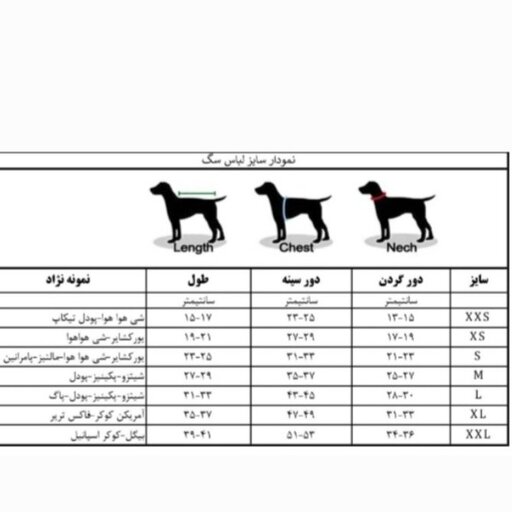 لباس سگ و گربه،پیراهن یلدایی