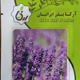 بذر گیاه دارویی اسطوخودوس آرکا بذر ایرانیان مناسب کشت خانگی 