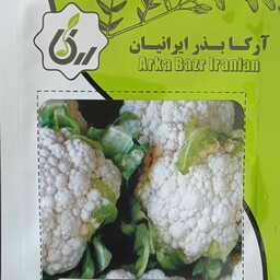 بذر گل کلم سفید آرکا بذر ایرانیان کشت خانگی