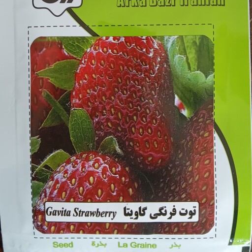بذر توت فرنگی گاویتا آرکا بذر ایرانیان کشت خانگی 