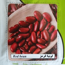 بذر لوبیا قرمز آرکا بذر ایرانیان کشت خانگی 
