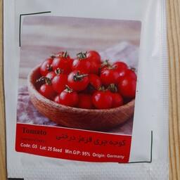بذر گوجه چری قرمز گلدانی یا درختی  پاکت کوچک خانگی
