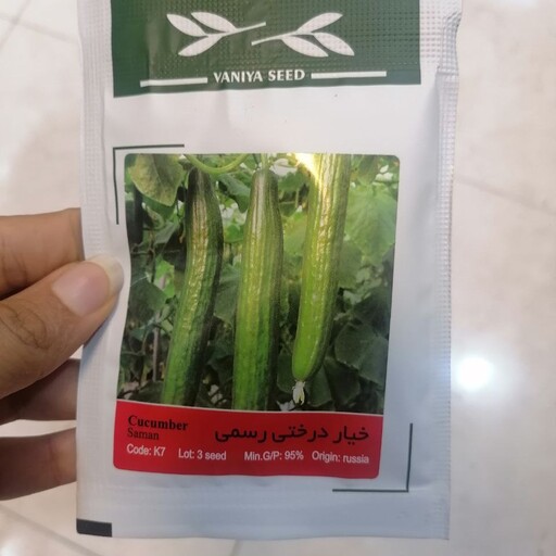 بذر خیار درختی رسمی ایرانی شرکت آذر سبزینه پاکت خانگی 3 عددی