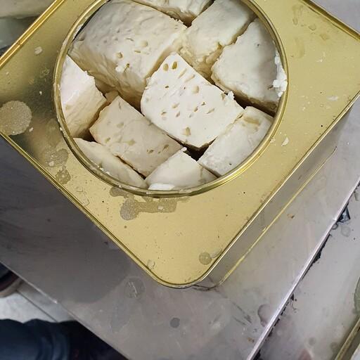 پنیر تبریز 2 کیلویی