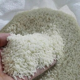 برنج طارم هاشمی درجه یک امساله  فریدونکنار بسته 10 کیلویی ارسال رایگان