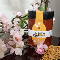 عسل 500 گرمی آویشن  دماوند درجه یک برداشت تابستان 1402