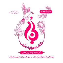 عرق دارچین لُباب پک بسته بندی 7 عددی ، ارسال رایگان به وسیله باربری - هزینه انبارداری مقصد با مشتری است