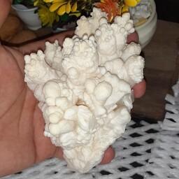 سنگ راف کلکسیونی آراگونیت سفید گل کلمی زیبا ظاهری شیک و متفاوت مناسب کلکسیون و دکور  خانه و مغازه پشت ویترینی زیبا
