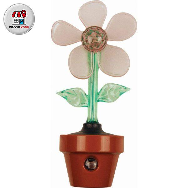 توضیحات تصویر