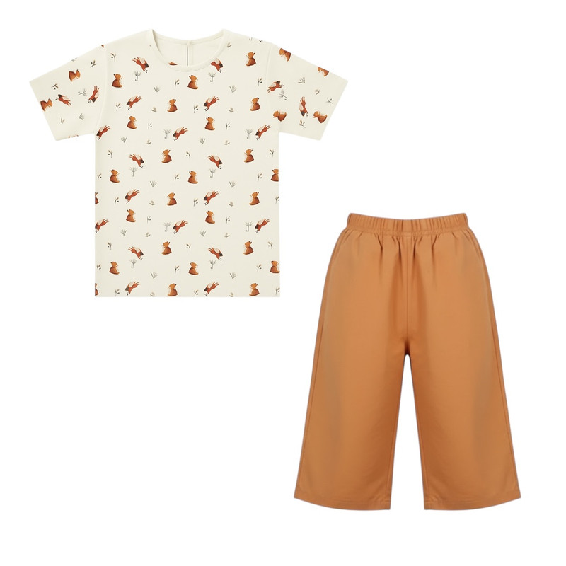 توضیحات تصویر