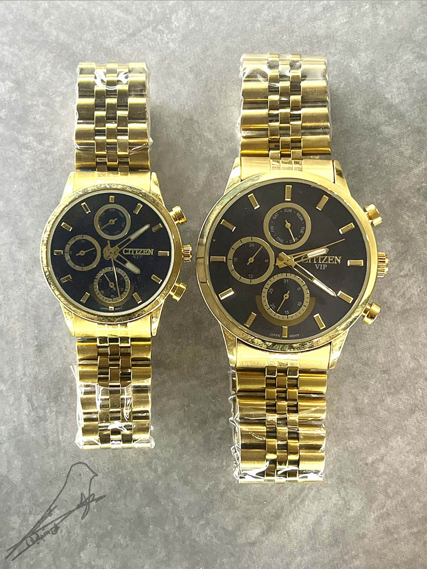 سیتیزن وی‌ای‌پی سه موتور فعال (CITIZEN)