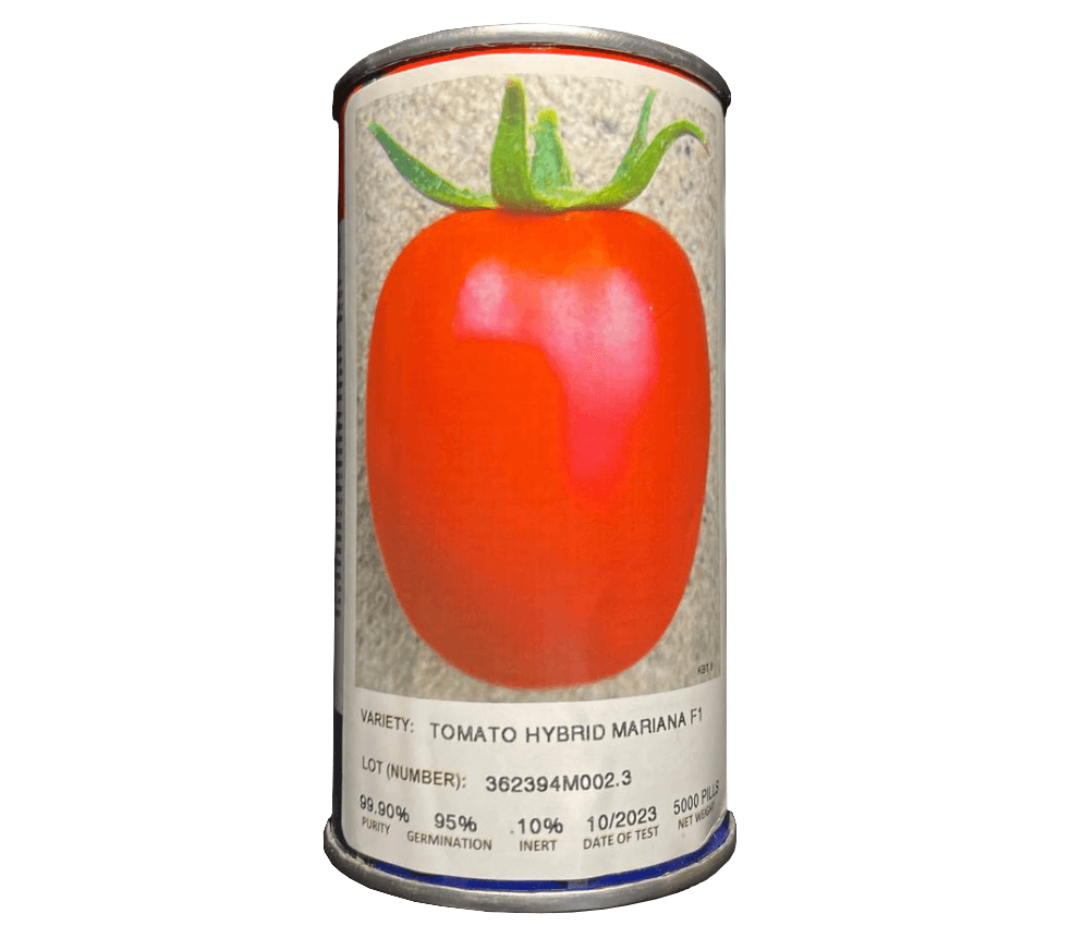بذر گوجه فرنگی ماریانا (MARIANA) :  پربار و بازارپسند