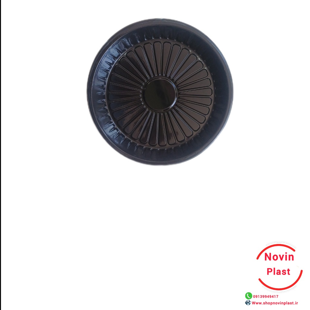 پیش دستی میوه (پک 25عددی)