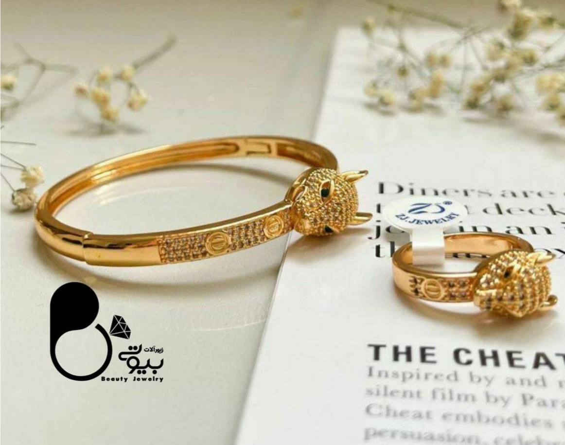 توضیحات تصویر