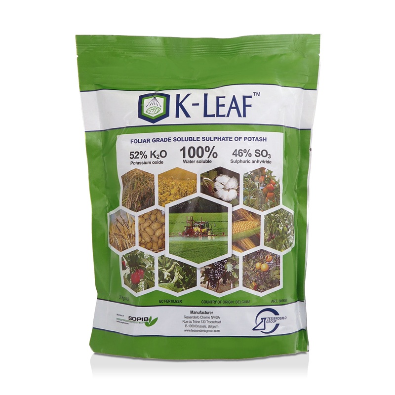 کود سولوپتاس کی لیف