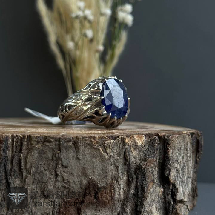 توضیحات تصویر