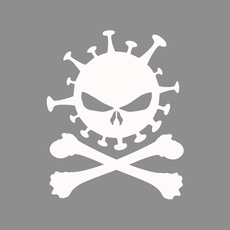 برچسب بدنه خودرو شیپرس طرح اسکلت کد Ss004S