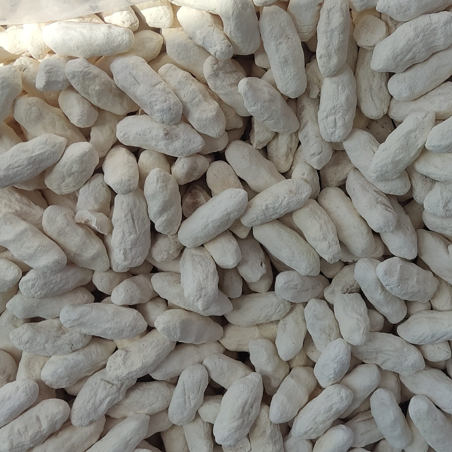 کشک گوسفندی