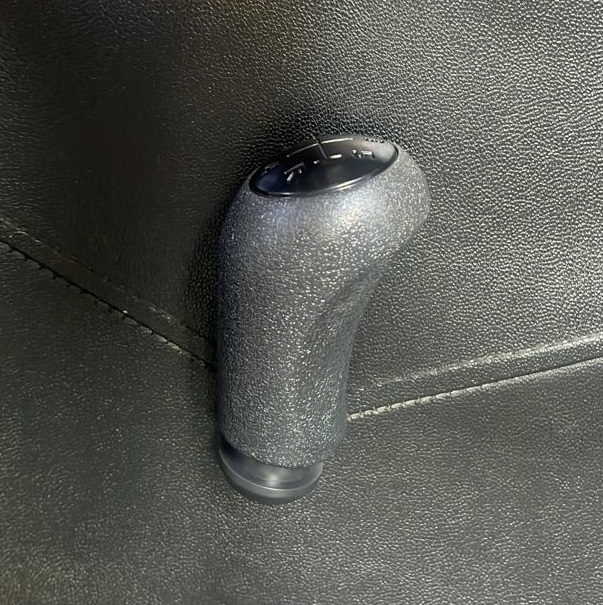 سر دنده رنو ساندرو