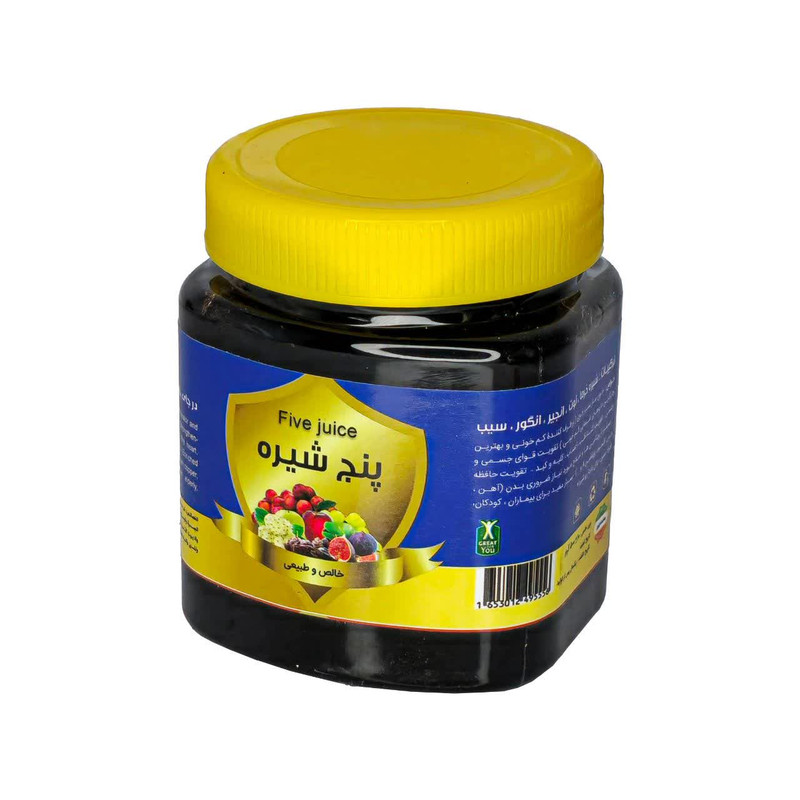 پنج شیره انگور خرما توت سیب انجیر فدک - 500 گرم