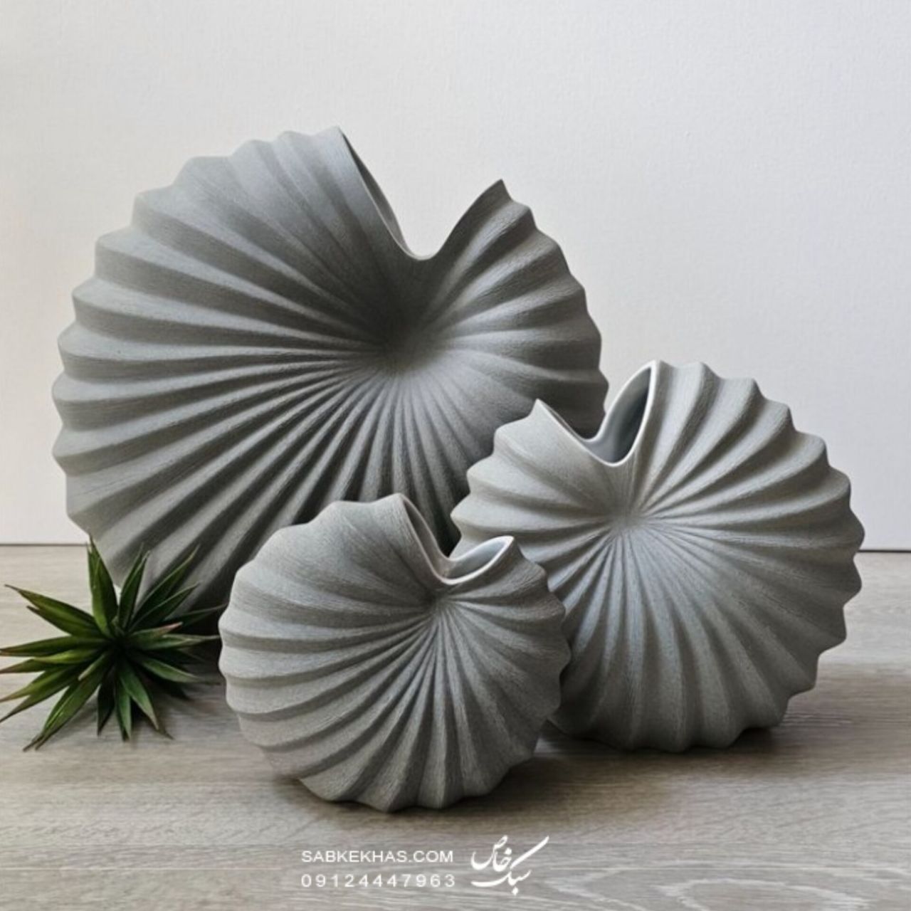 گلدان صدفی گرد
