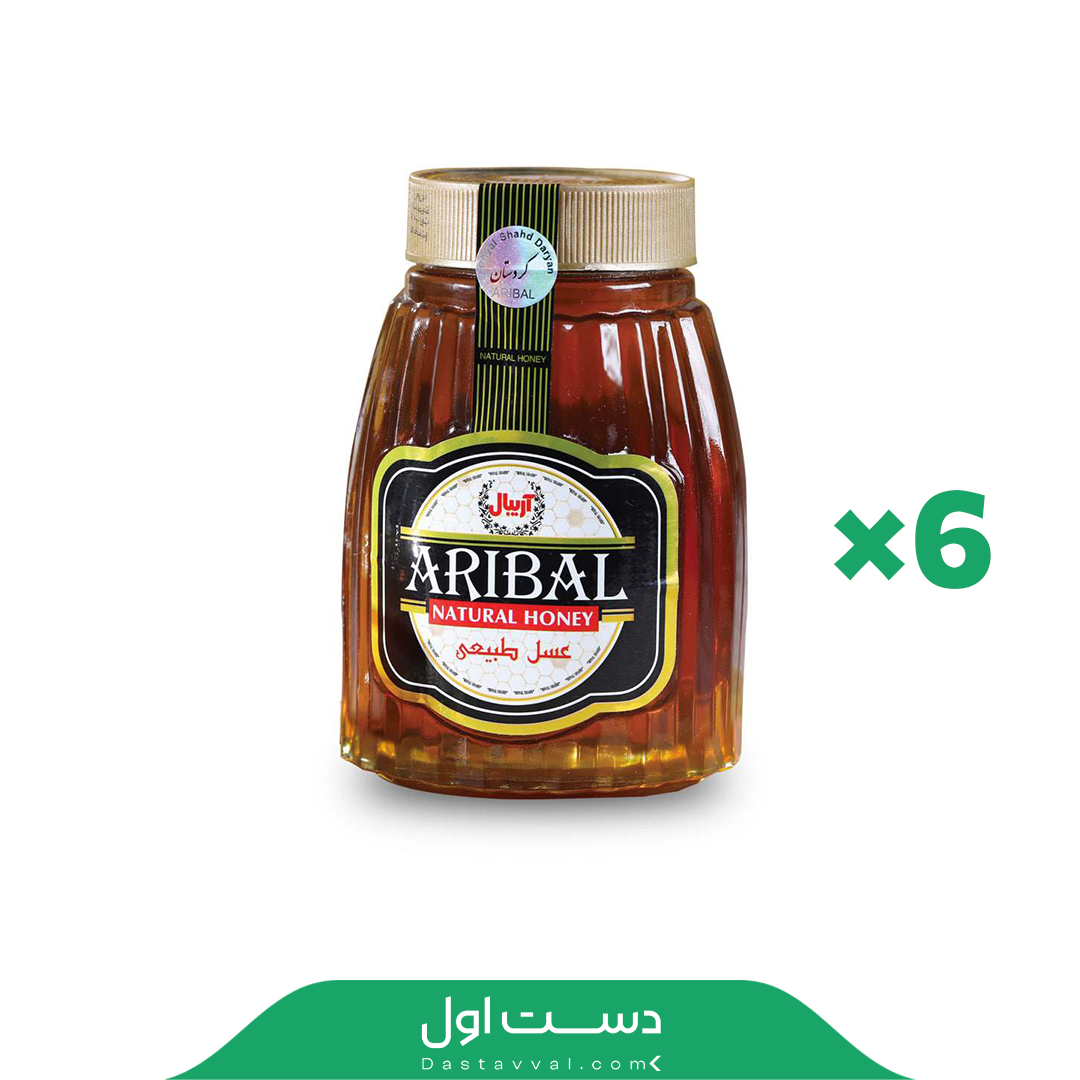 عسل آریبال 900 گرمی کردستان - کارتن 6 عددی