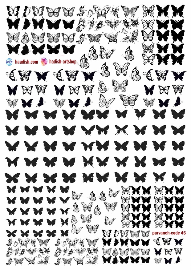 ترنسفر پروانه (کد46)