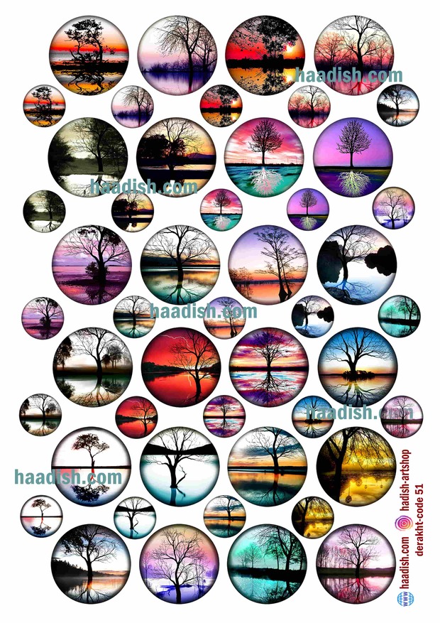 ترنسفر درخت (کد51)